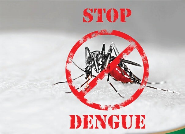 Know and Fight Dengue
